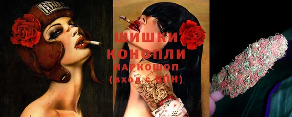 метадон Инта