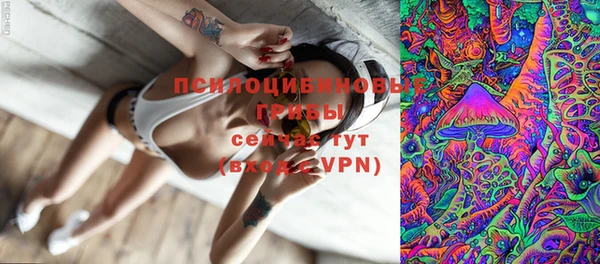 метадон Инта