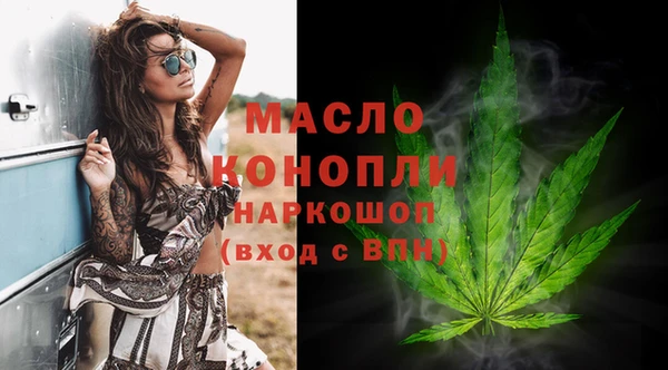 метадон Инта