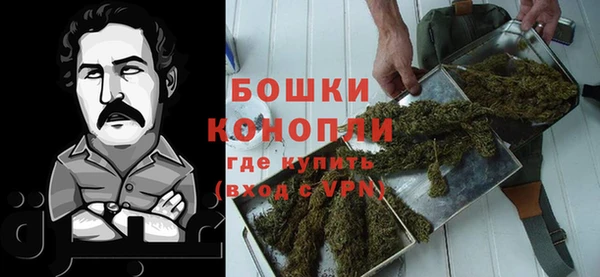 метадон Инта